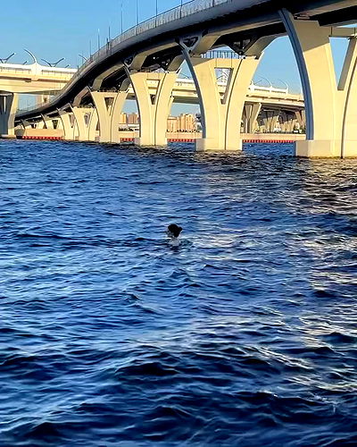 howeversnowy howeversnowy archive video