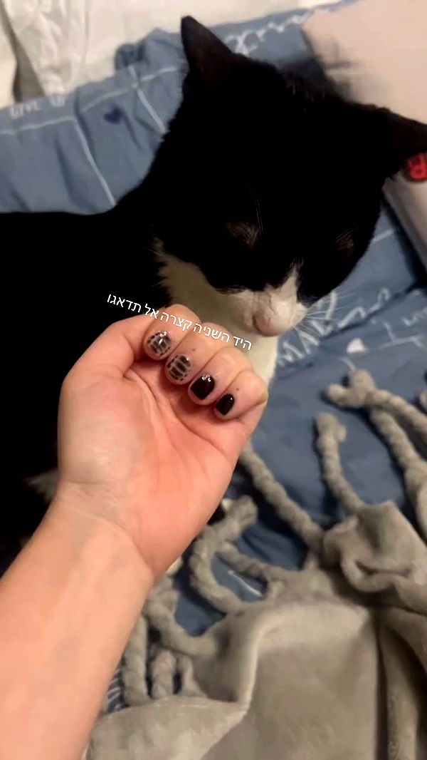 canabaputgir archive video preview