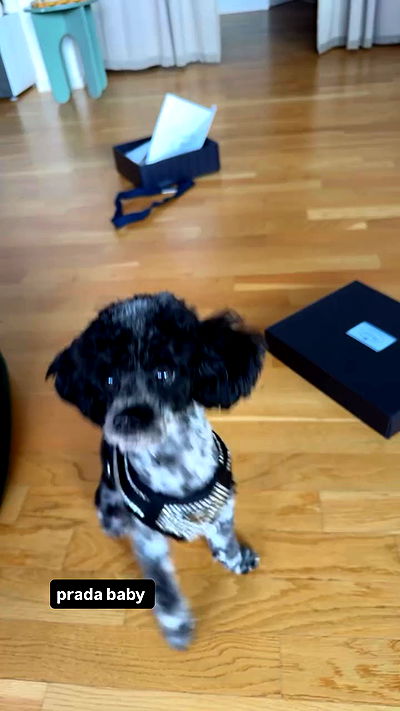 bymonamarie bymonamarie archive video