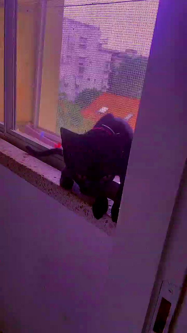 feelbetterinmysweater archive video preview