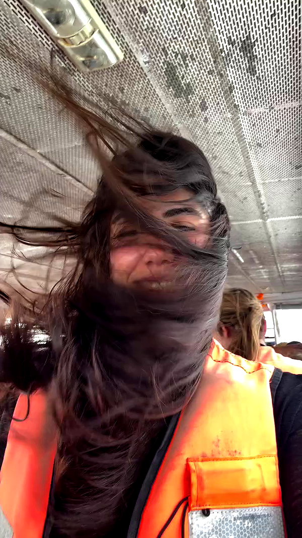 noammalka___ archive video preview