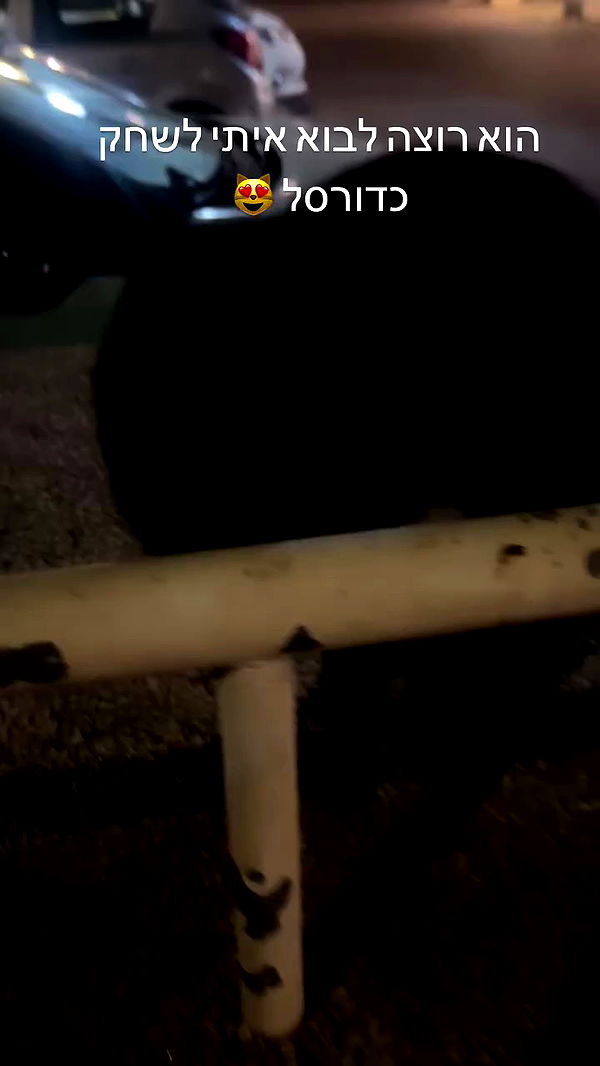 hellokittyangel666 archive video preview