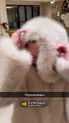 vandec23 Altpins Profile Picture