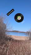 zz.eazoning Altpins Profile Picture