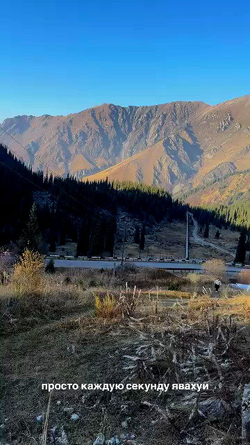 annfigma annfigma archive video