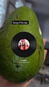 zz.eazoning Altpins Profile Picture