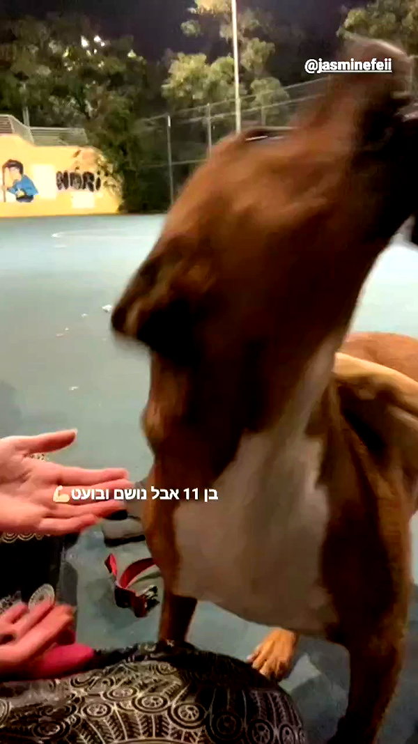 _wayw4rd_ archive video preview