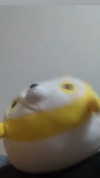_littlerobin_ Altpins Profile Picture