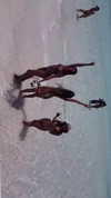 romy.benshushan Altpins Profile Picture