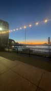 sydney_melman Altpins Profile Picture