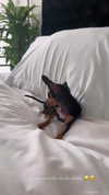 jenny.kaly Altpins Profile Picture