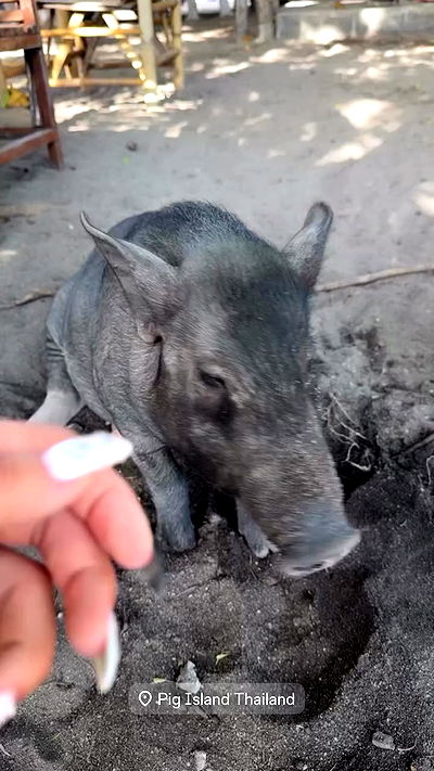 kesemgreenyer kesemgreenyer archive video