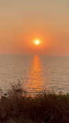 noa_mendel_ Altpins Profile Picture