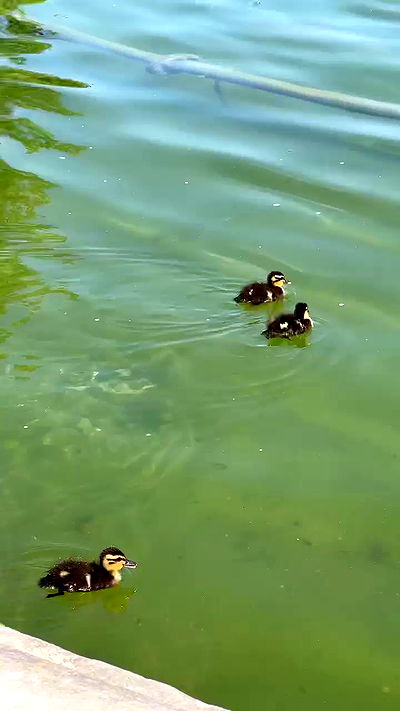 itsilanosh itsilanosh archive video