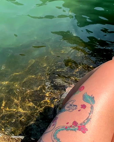 yam_adler yam_adler archive video