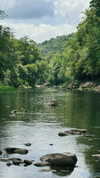 sarah.anne.dipity Altpins Profile Picture