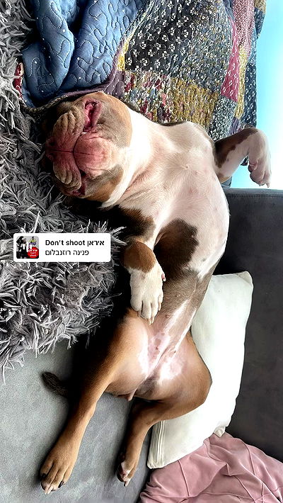 kesemgreenyer kesemgreenyer archive video