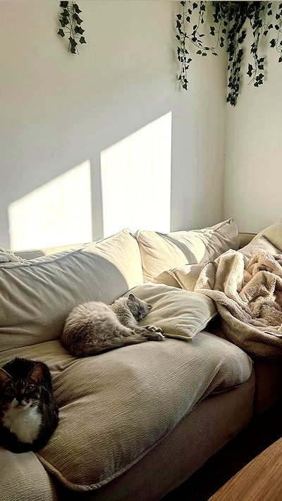 laluzone laluzone archive video