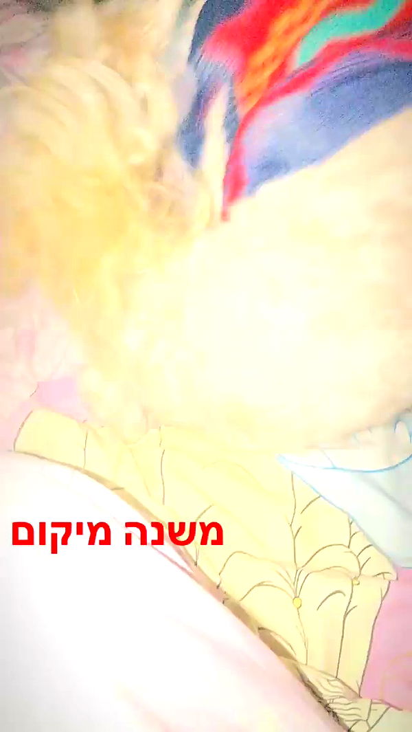 feelbetterinmysweater archive video preview