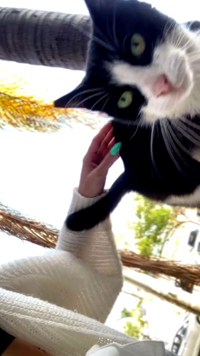 g.a.l.1.a g.a.l.1.a archive video