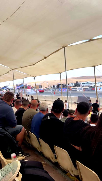 simp_for_cats_ simp_for_cats_ archive video