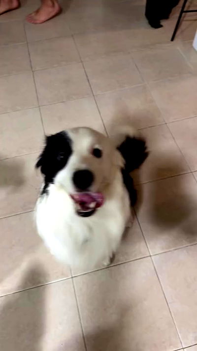 biton__adi biton__adi archive video