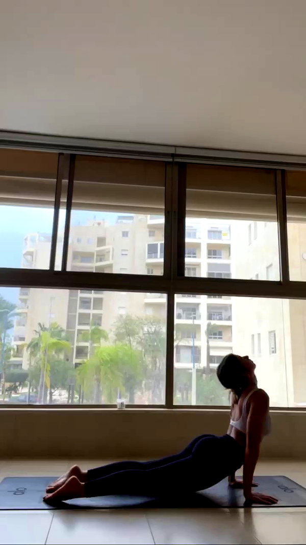 liad.arazi archive video preview