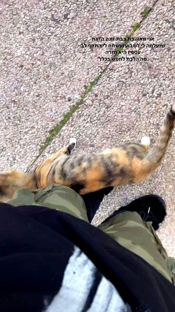 shanikaneko archive video preview