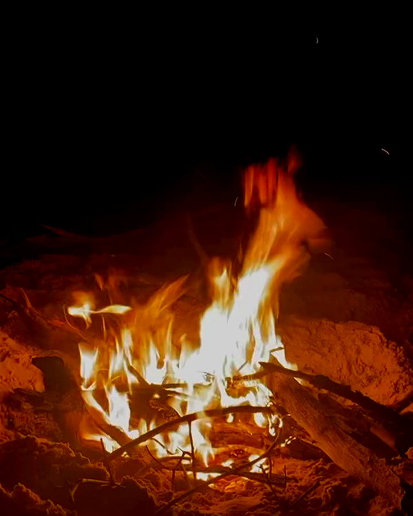 millie.bettsx archive video preview