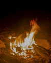 millie.bettsx Altpins Profile Picture