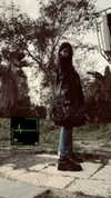 avitallllllll Altpins Profile Picture