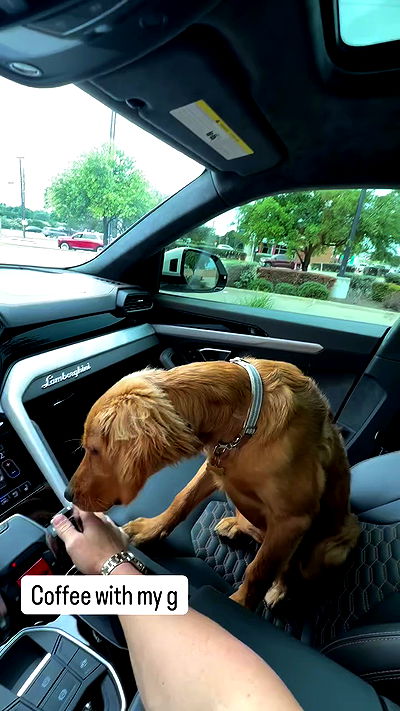 smillsap02 smillsap02 archive video