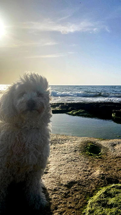 feelbetterinmysweater feelbetterinmysweater archive video