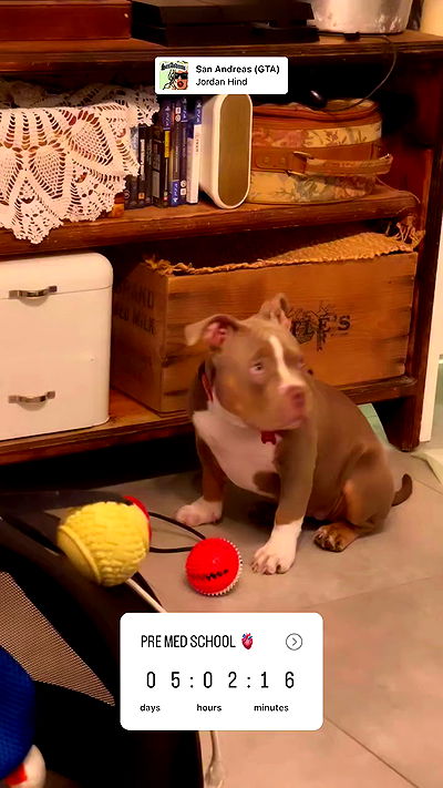 kesemgreenyer kesemgreenyer archive video