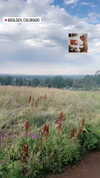 mel_cerillo Altpins Profile Picture