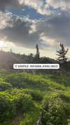 liiuuar Altpins Profile Picture