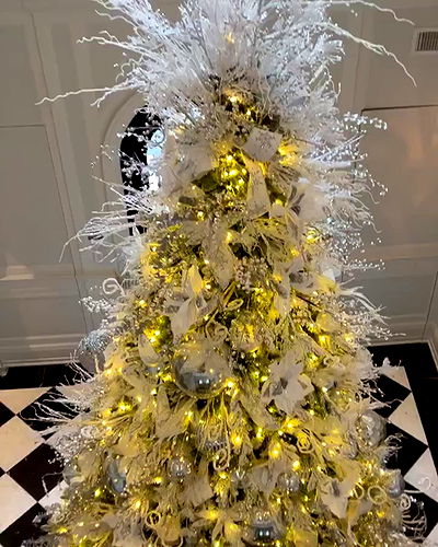 iamcardib iamcardib archive video