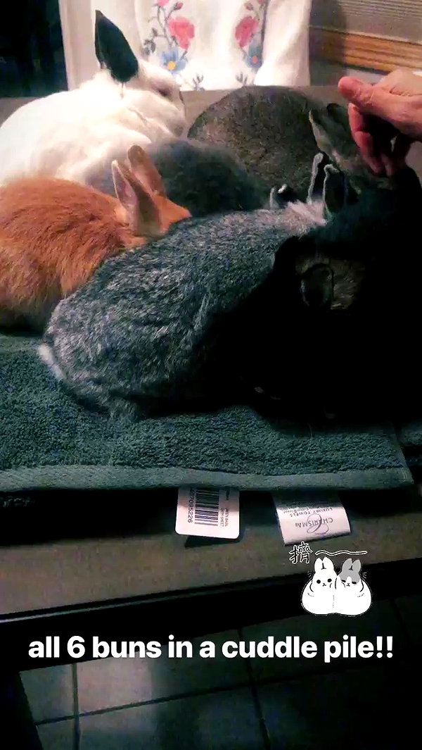 emiru.jpg archive video preview