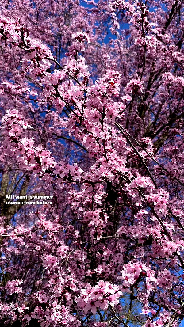xo.cynnthiia archive video preview