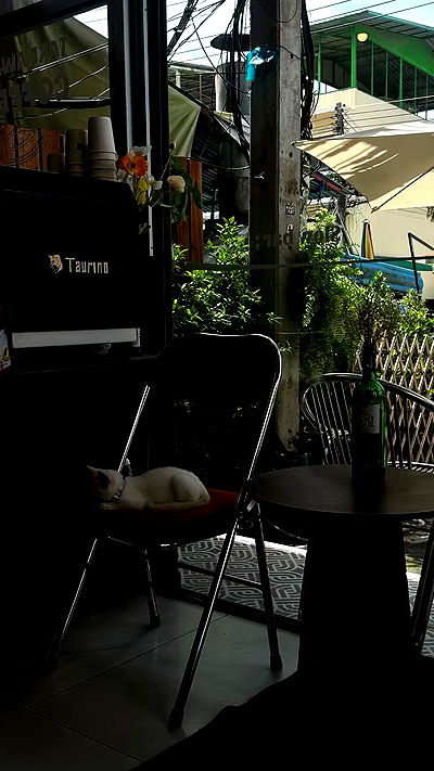 oqr0_ oqr0_ archive video