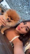 diana_tal_ Altpins Profile Picture