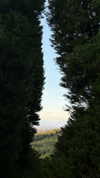 pynek2 Altpins Profile Picture