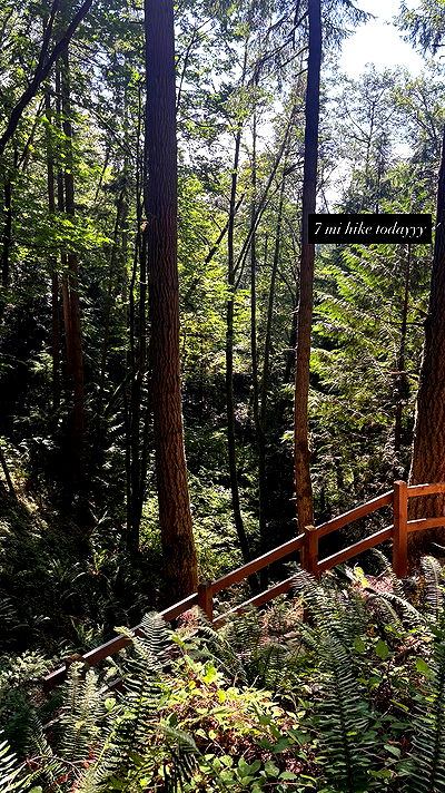 tatum.ricee tatum.ricee archive video