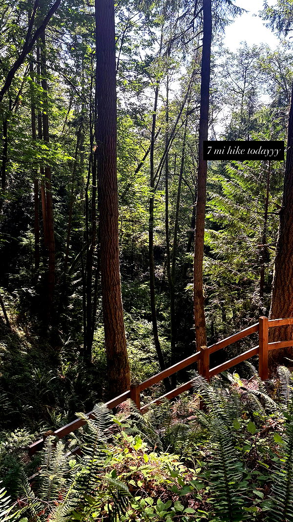 tatum.ricee archive video preview