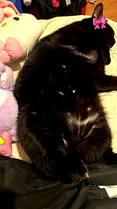 hellokittyangel666 hellokittyangel666 archive video