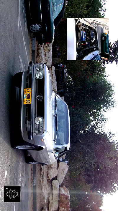 simp_for_cats_ simp_for_cats_ archive video