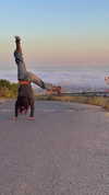 hadas_mayer_ Altpins Profile Picture