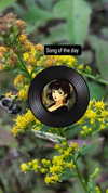 zz.eazoning Altpins Profile Picture