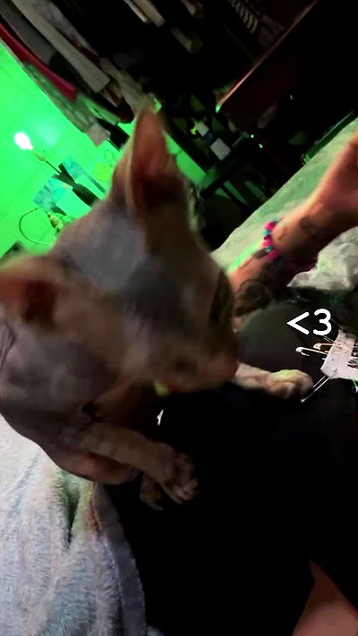 zommmbri zommmbri archive video