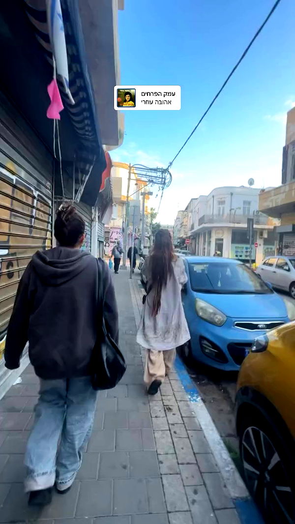 romy_ayalla_lavi archive video preview